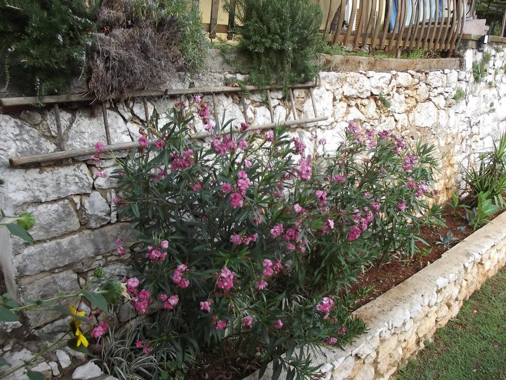 Apartments Vinetilia Mošćenička Draga Dış mekan fotoğraf